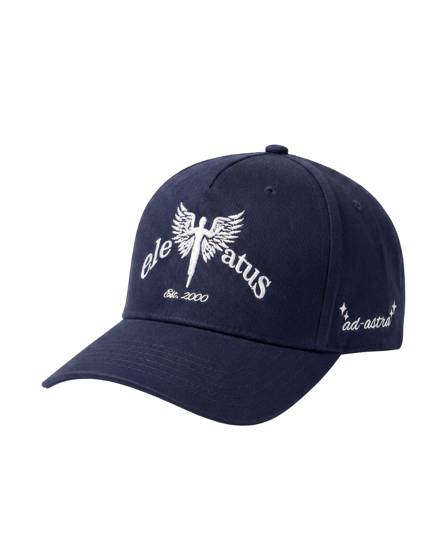 NAVY & WHITE CAP