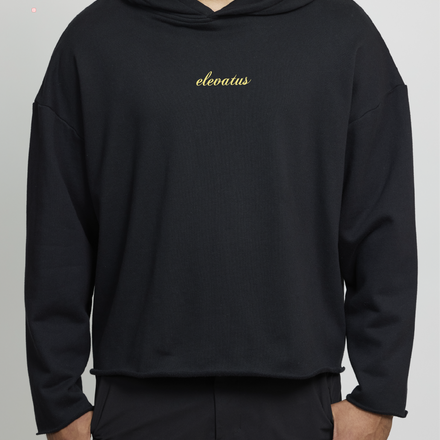 elevatus french terry script hoodie