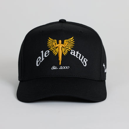 elevatus black & gold cap
