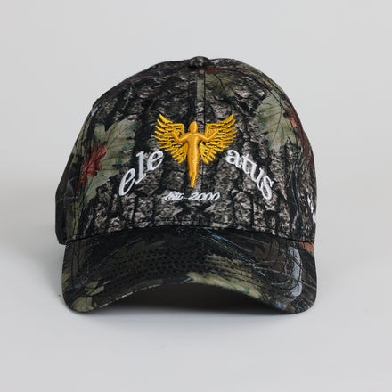 elevatus camo cap