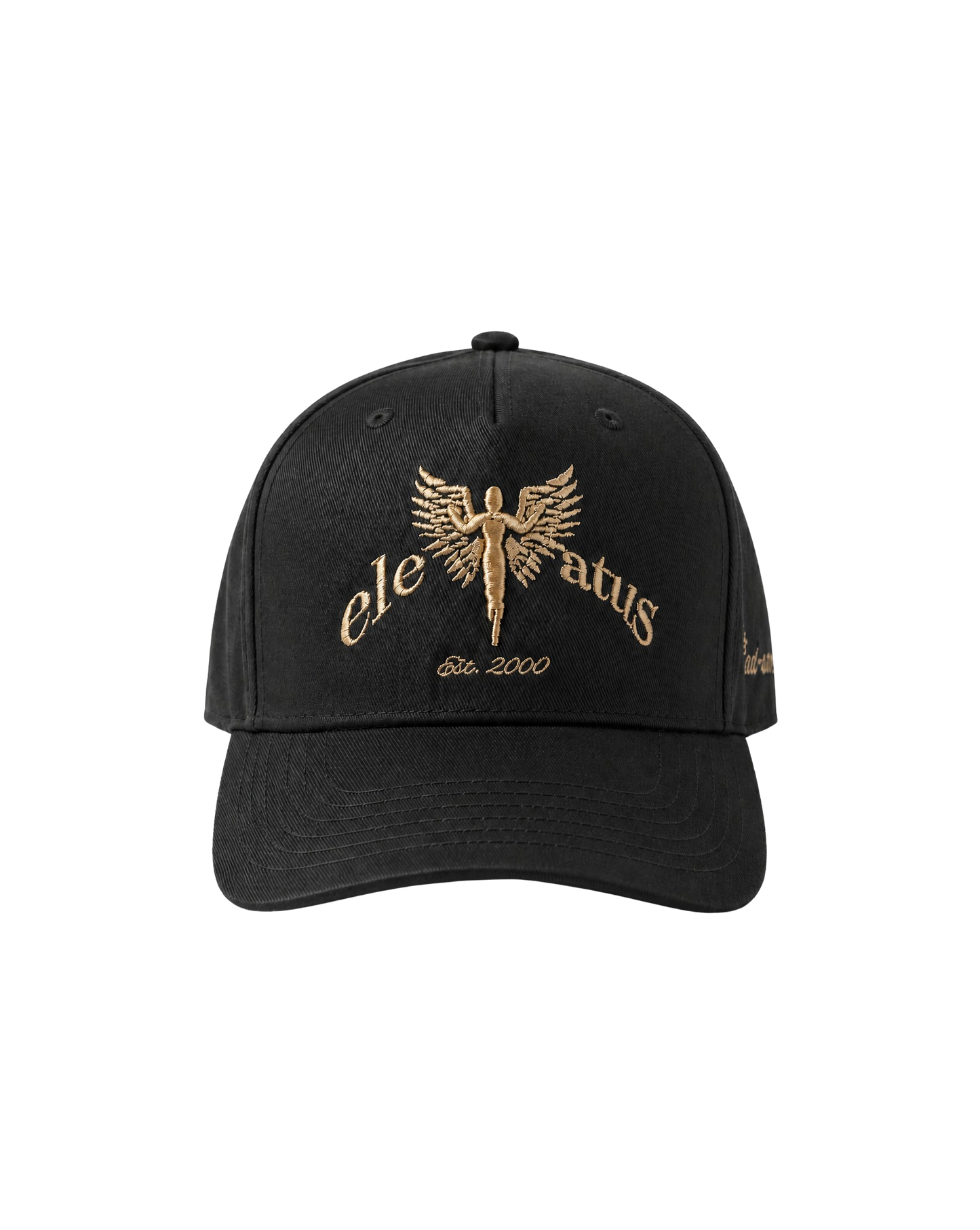 GRAY & CHAMPAGNE CAP