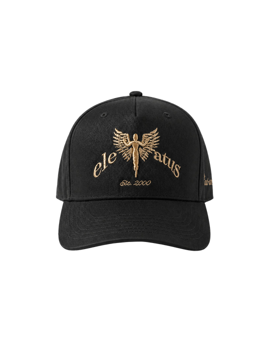 GRAY & CHAMPAGNE CAP