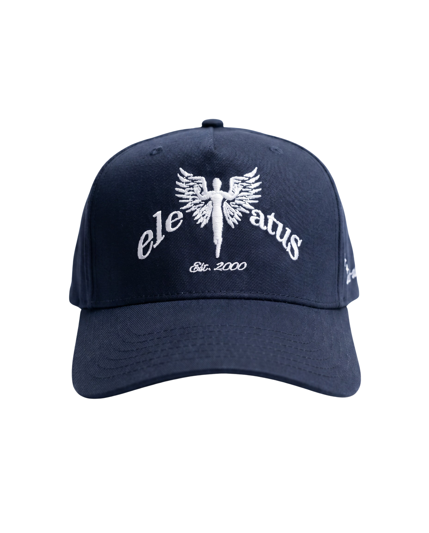 NAVY & WHITE CAP