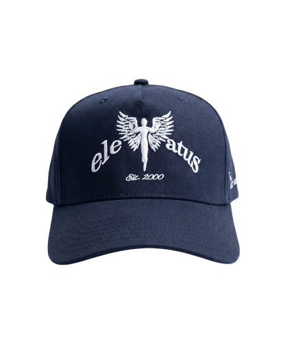NAVY & WHITE CAP