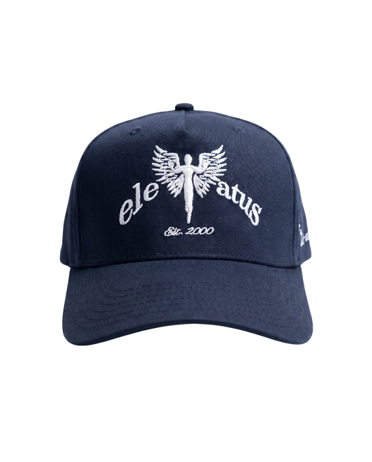 NAVY & WHITE CAP