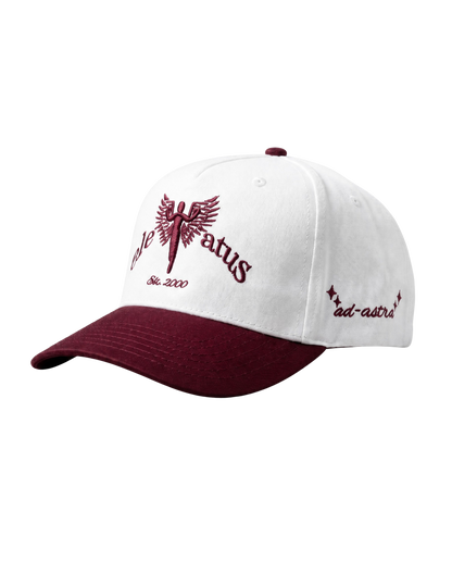 CRIMSON & WHITE CAP