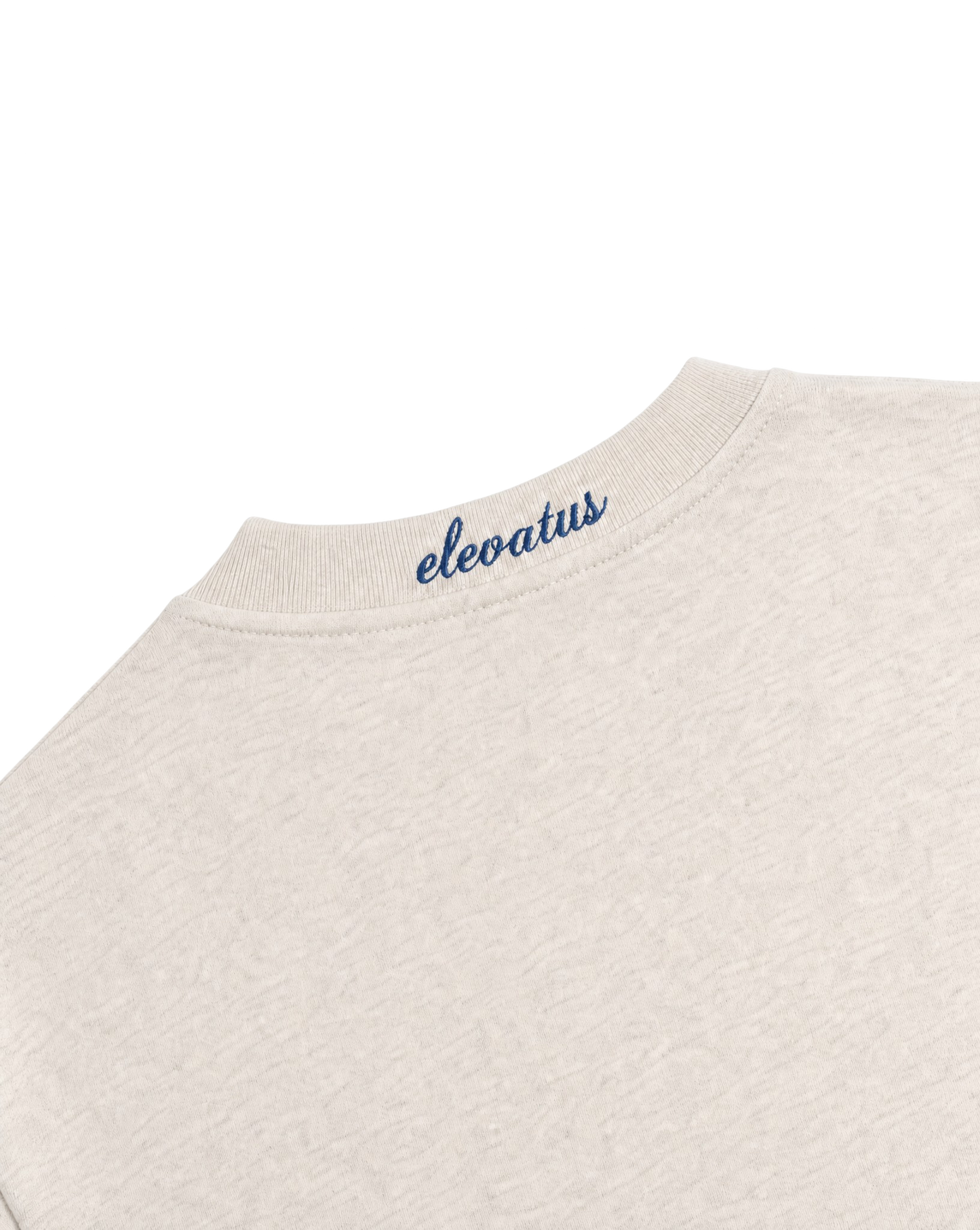 OAT GRAY & BLUE TEE