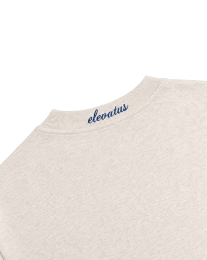 OAT GRAY & BLUE TEE