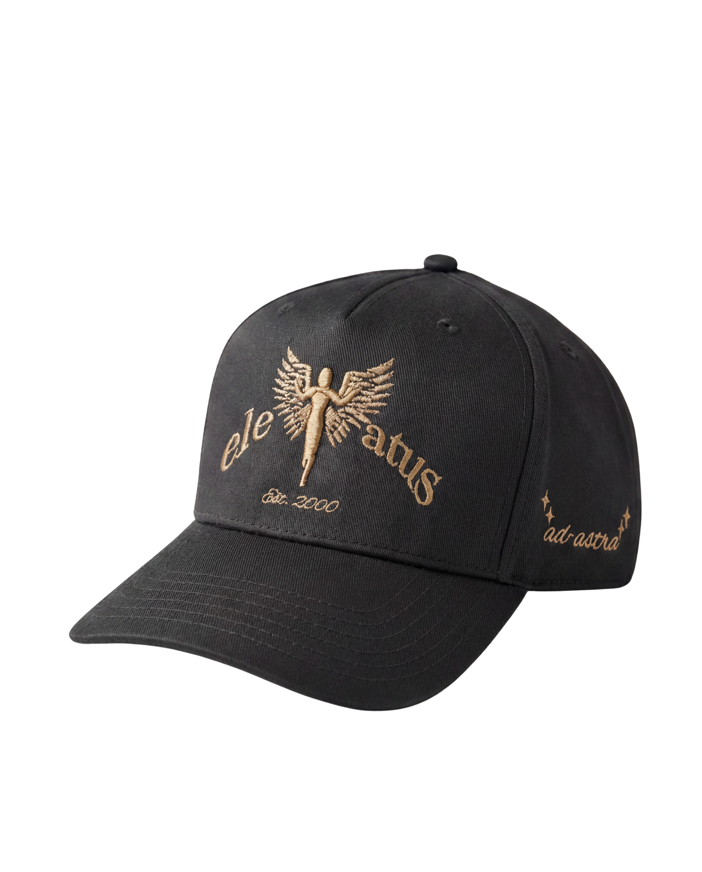 GRAY & CHAMPAGNE CAP