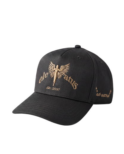 GRAY & CHAMPAGNE CAP